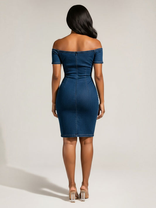 Savannah Denim Dress
