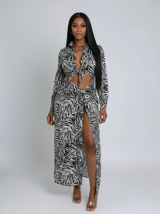 Midnight Safari Dress