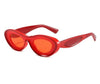 In a Daze Sunglasses