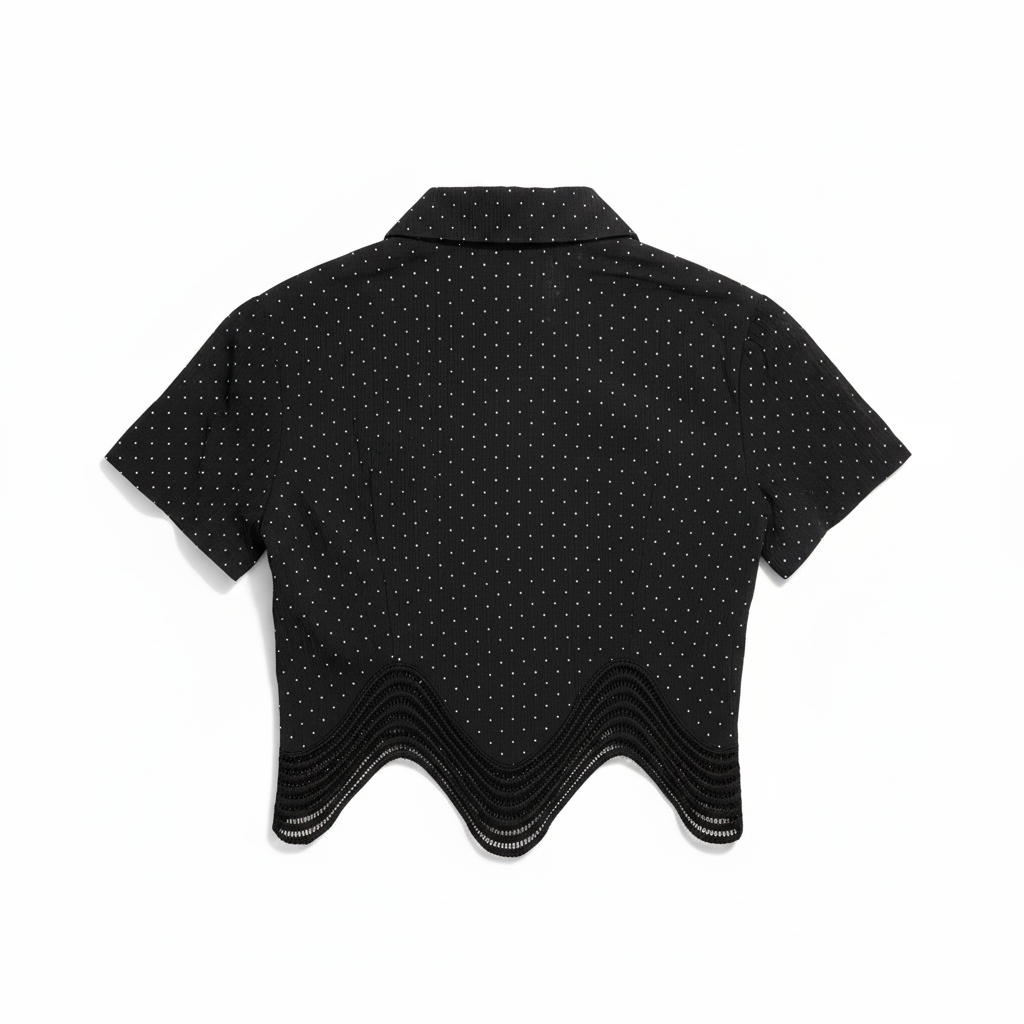 Soft Sparkle Sheer Top